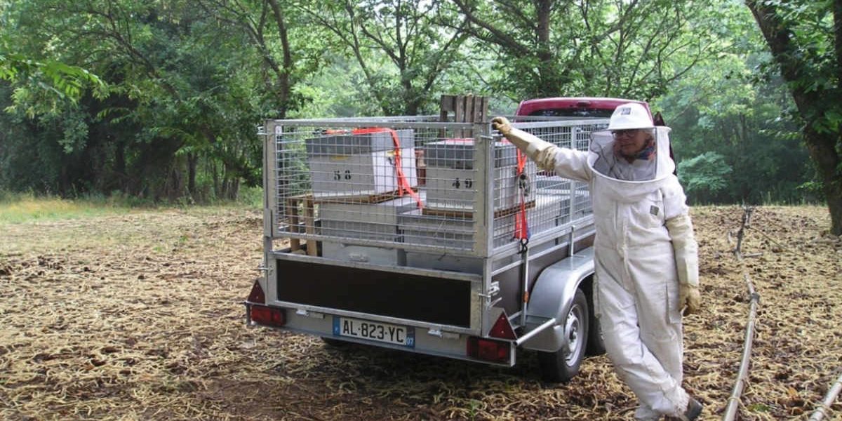 Apiculture biologique au moulin de mon père