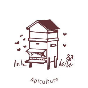 Apiculture-au moulin de mon père-biodiversité et équilibre écologique