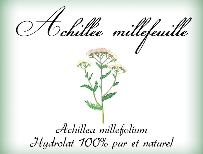 Hydrolat d'achillée millefeuille • Achillea millefolium • Veyrane