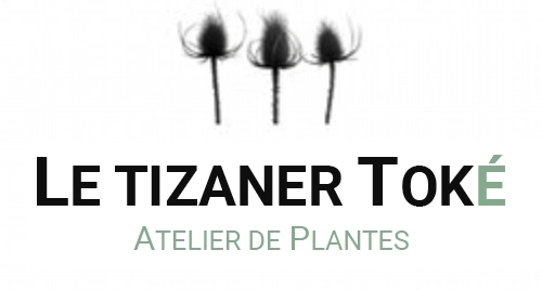 Logo Le Tizaner Toké
